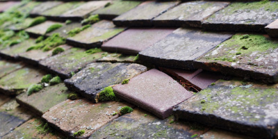 Llanddowror roof repair costs